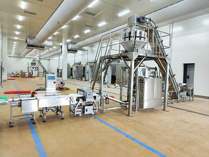 mesin pengemas makanan forzen otomatis