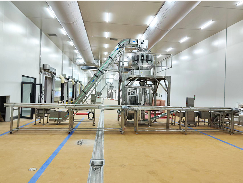 mesin pengemas makanan forzen otomatis