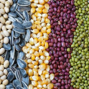 Mesin pengemas benih otomatis